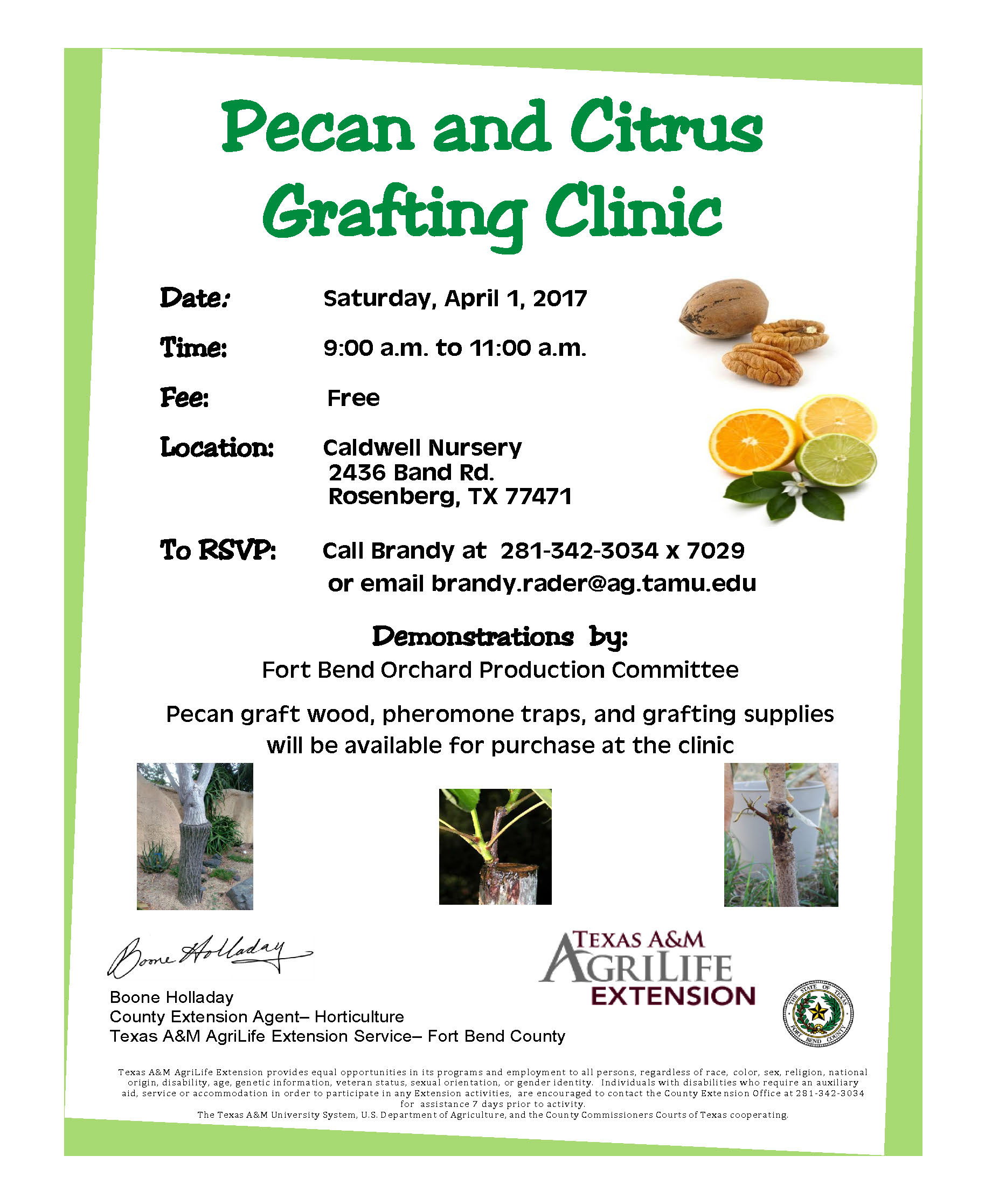 Pecan and Citrus Grafting Clinic1828 x 2233