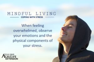 Mindful Living: Coping With Stress