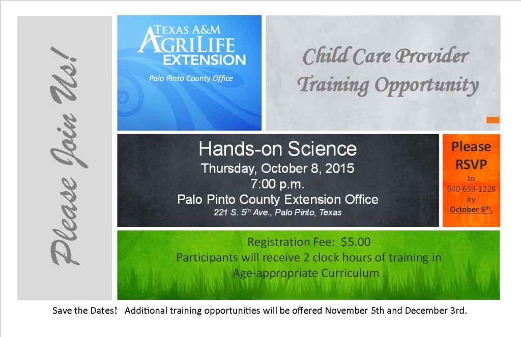 Childcare Provider Training 2015