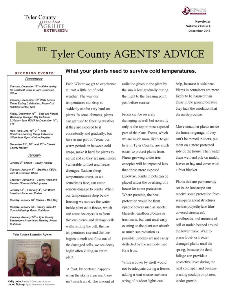 december-2016-tyler-county-agents-advice_page_1
