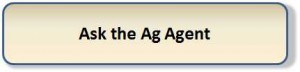 Button for Ask the Ag Agent