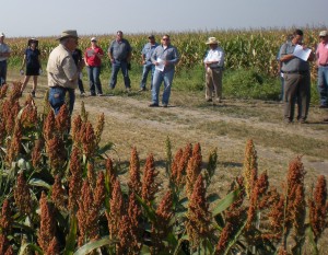 Fort Bend County Crops Tour