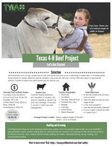 Let's Get Started With The Cattle Project