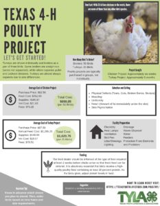 Let's Get Started Poultry Projects