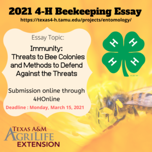 2021 Beekeeping Essay Infographic