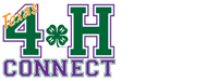 4h connect 1