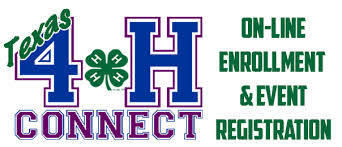 4-H Connect Image