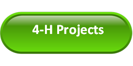 4-H Projects