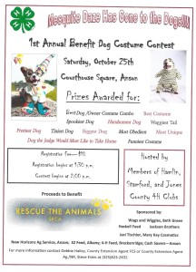 Dog Show Poster 14