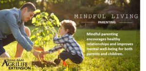 Mindful Living: Parenting