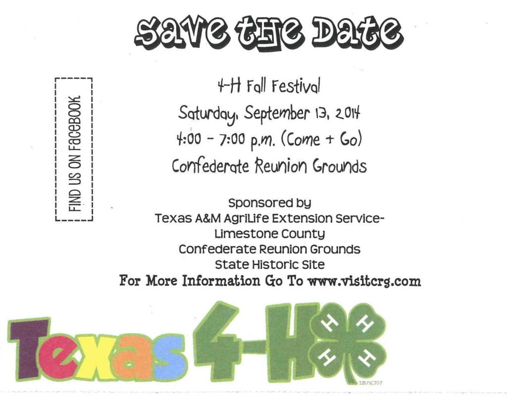 festival save the date card in color