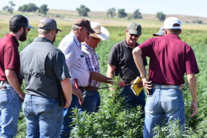 AgriLife Extension explores hemp issues, answers in Oklahoma, Colorado tour