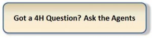 Button - Ask a 4H question
