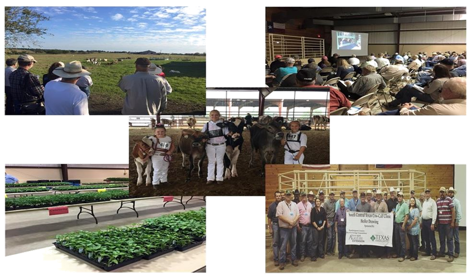 Washington County Extension Agriculture Pictures